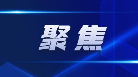 最新回响爆料新闻报道内容,揭秘回响新闻报道背后的惊人真相